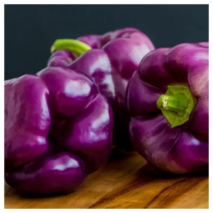 Seminte ardei gras violet HIBRID Blocky