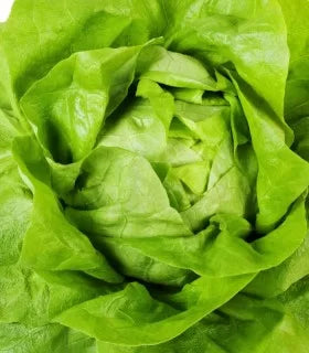 Semințe de Salată "Ileana" , 1 gr