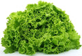 Semințe de Salată "Lollo Bionda" , 2 gr