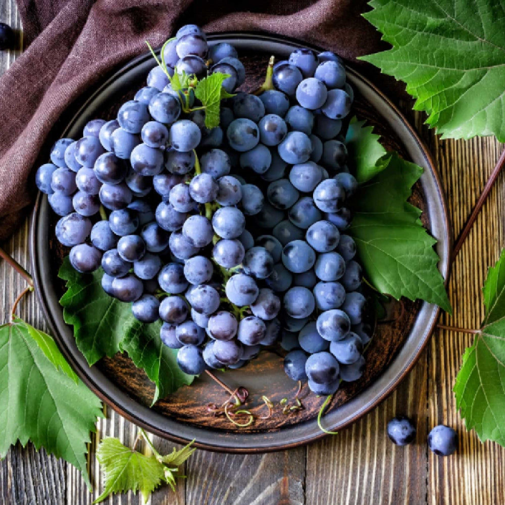 Vita de Vie de Vin "Cabernet Sauvignon", la Ghiveci